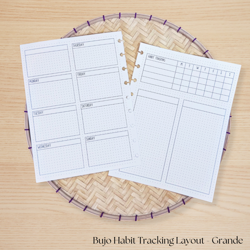 BUJO Habit Tracking Planner Layout